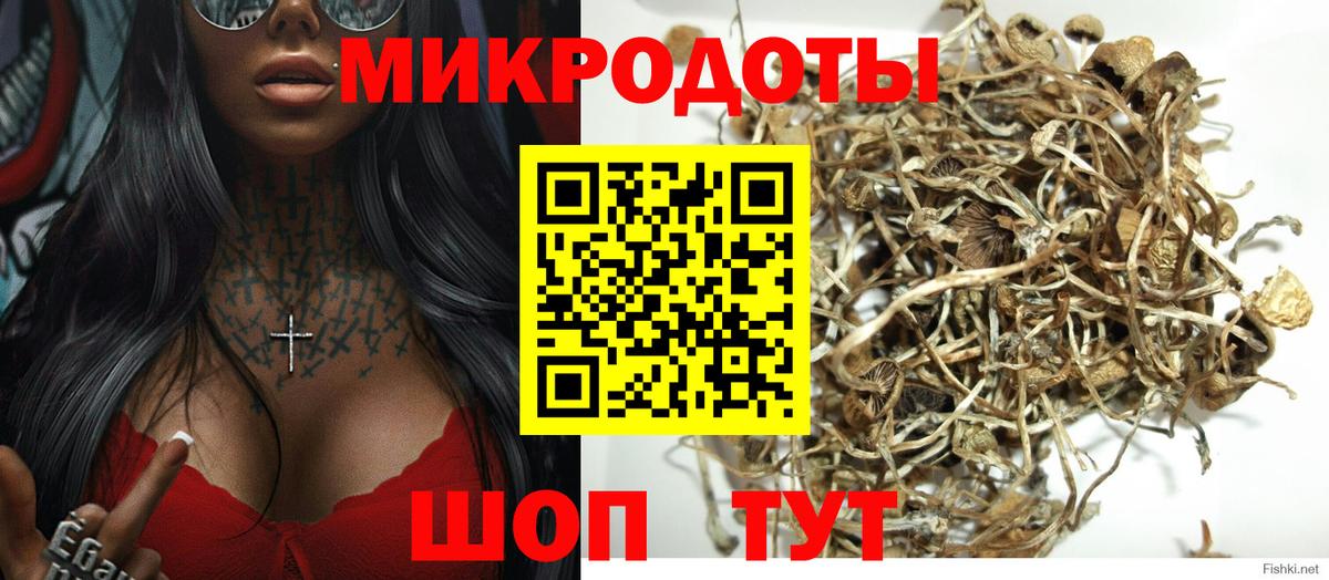 Лыткарино  Псилоцибиновые грибы MAGIC MUSHROOMS  Вход с VPN 